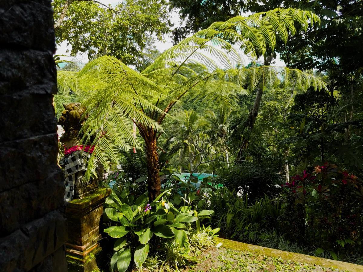 Angsoka Bungalow Ubud Exterior foto